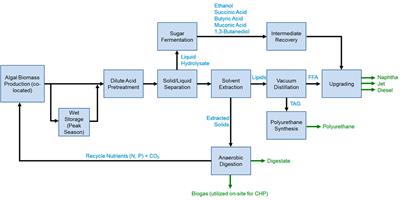 Enabling Production of Algal Biofuels by Techno-Economic Optimization of Co-Product Suites